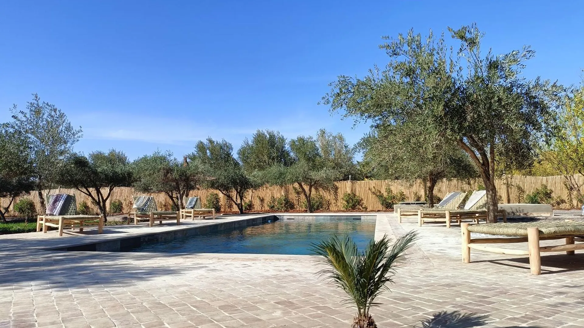 Marrakech Wellness Lodge contacts
